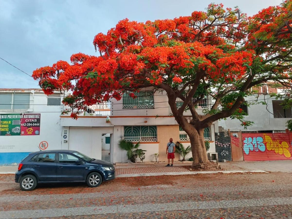 Casa Flamboyant Hotell Querétaro Eksteriør bilde